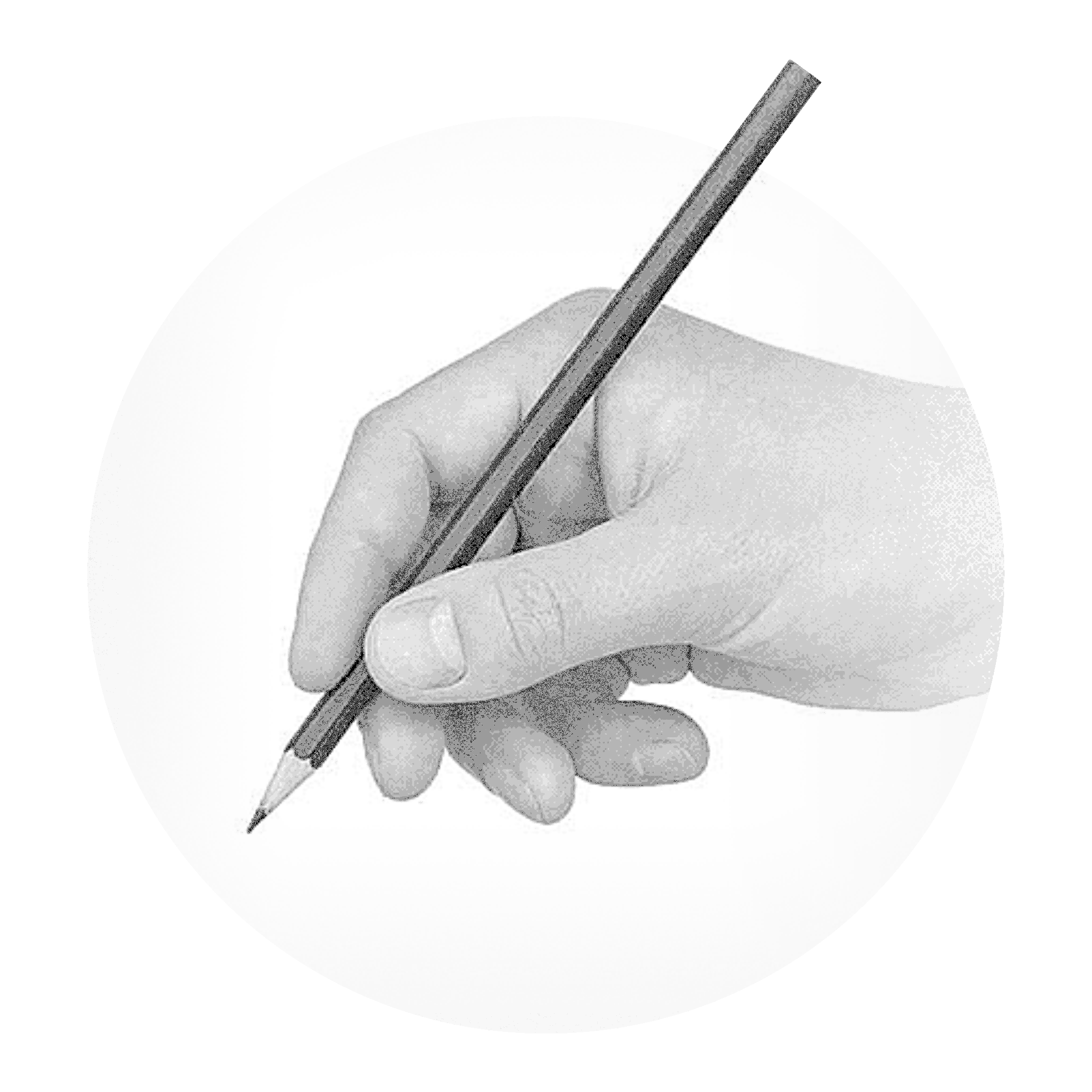 لوگو حرفه ای